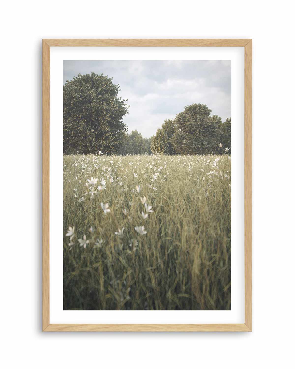 Daisy Fields by Guachinarte Art Print