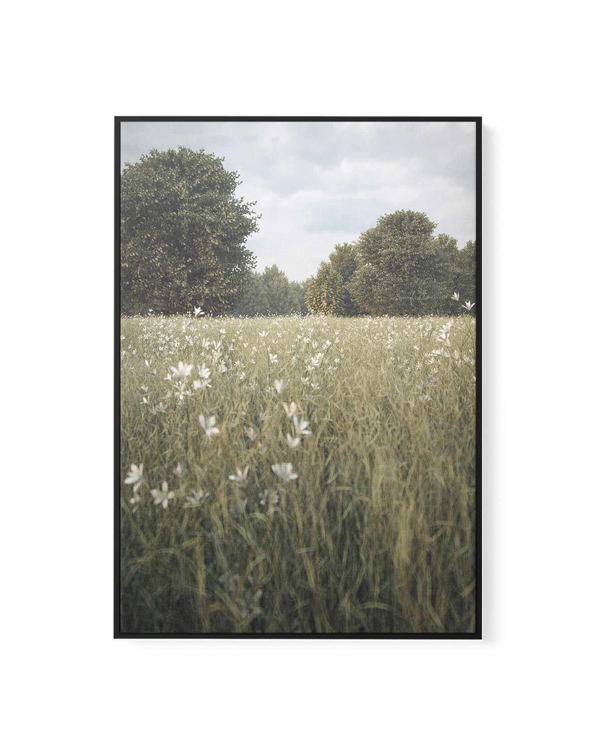 Daisy Fields by Guachinarte | Framed Canvas Art Print