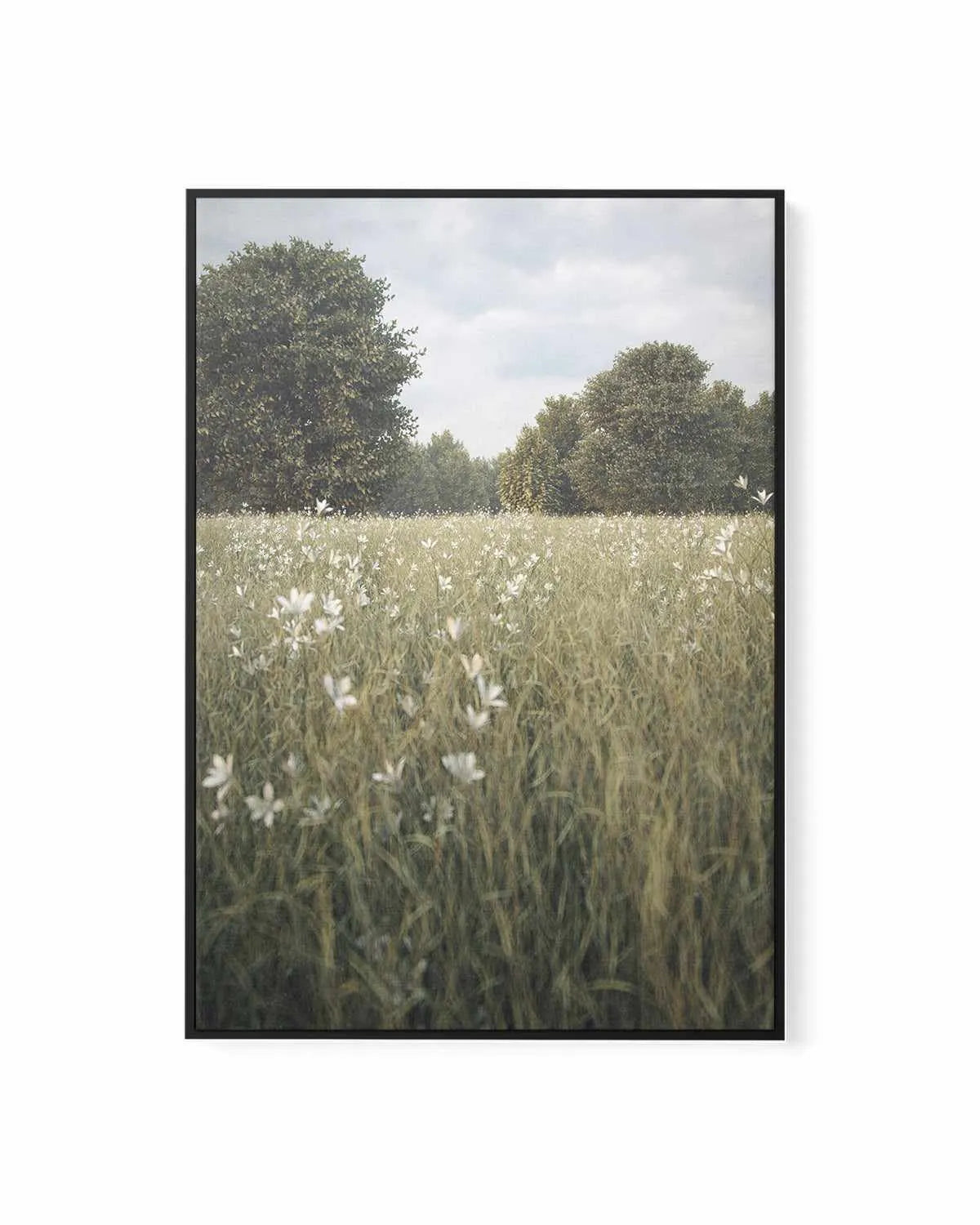 Daisy Fields by Guachinarte | Framed Canvas Art Print from Olive et Oriel where you can shop wallpaper and artworks online