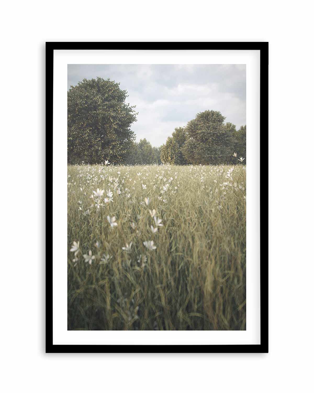 Daisy Fields by Guachinarte Art Print