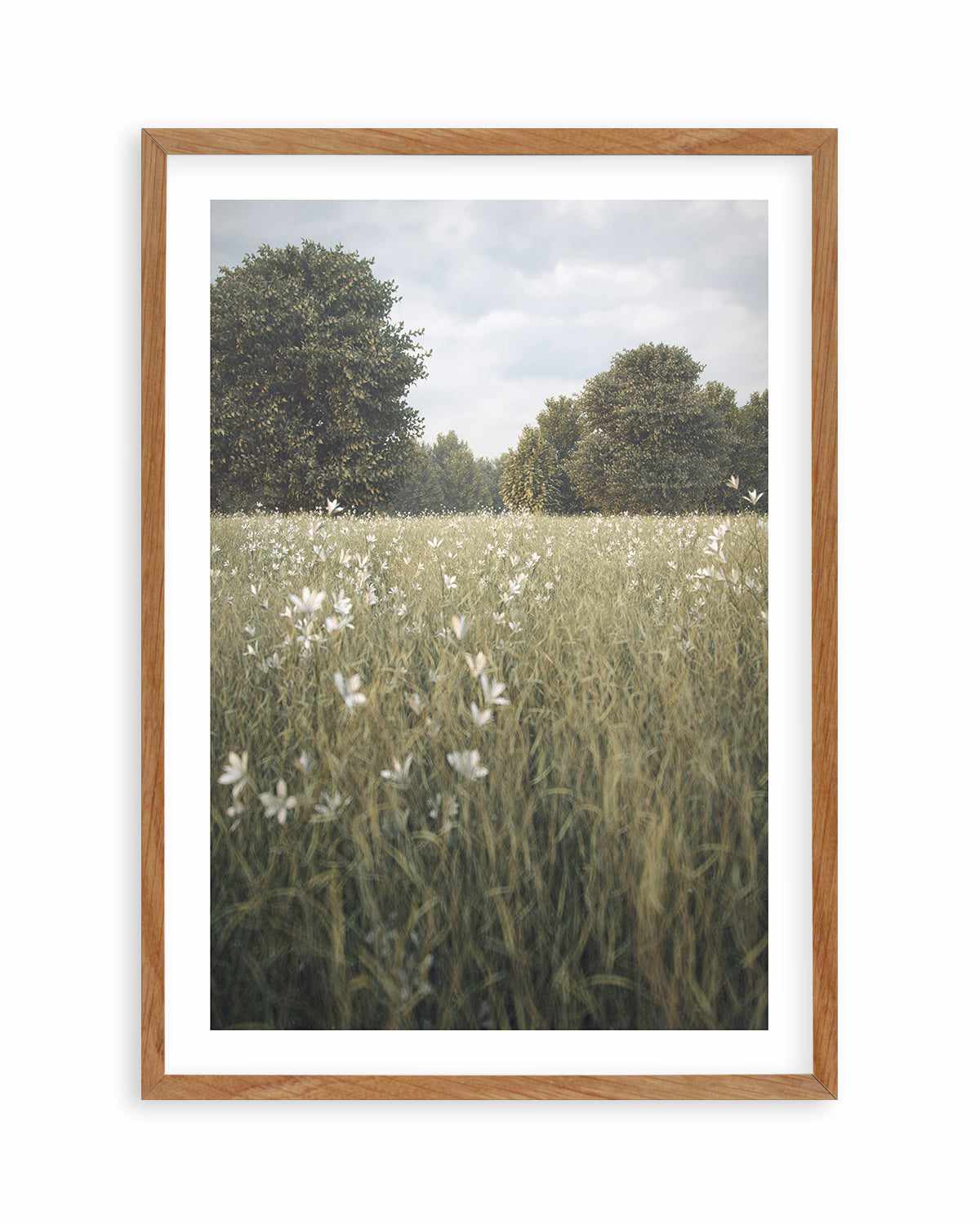 Daisy Fields by Guachinarte Art Print