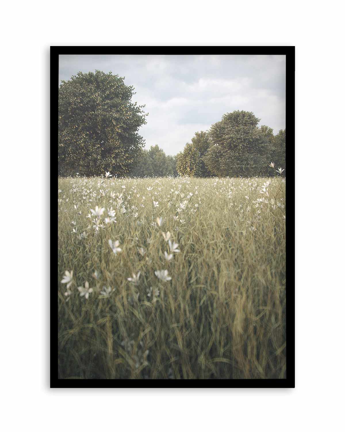 Daisy Fields by Guachinarte Art Print