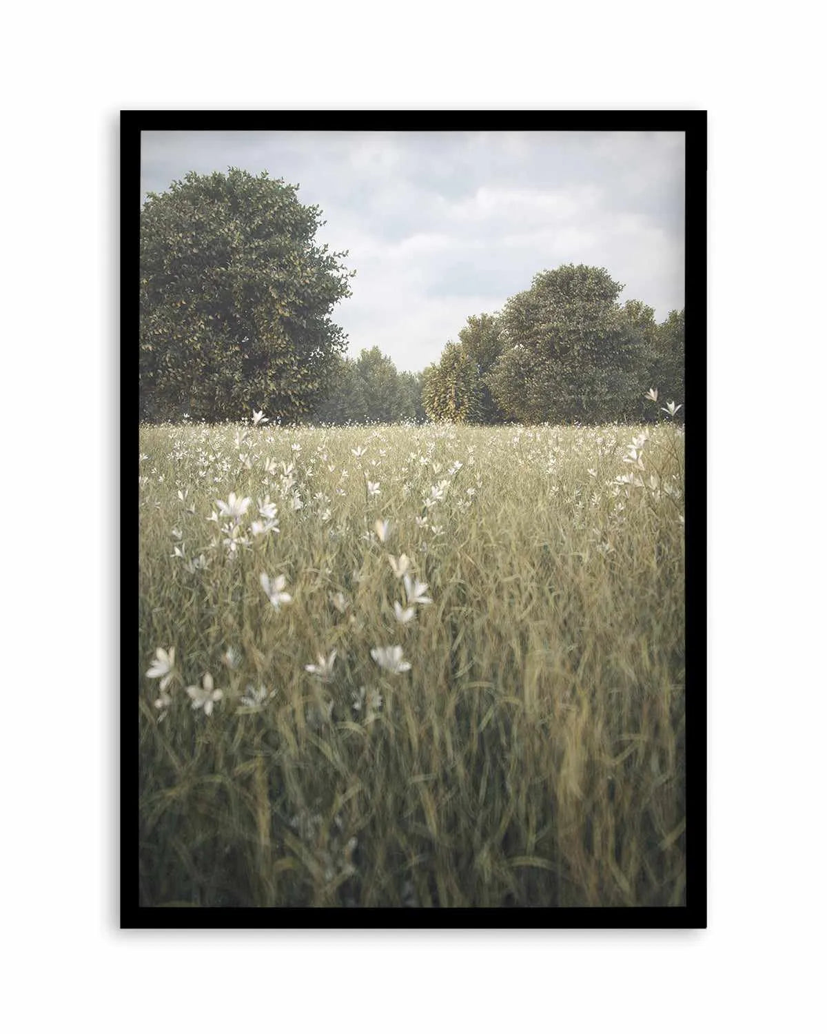 Daisy Fields by Guachinarte Art Print from Olive et Oriel where you can shop wallpaper and artworks online