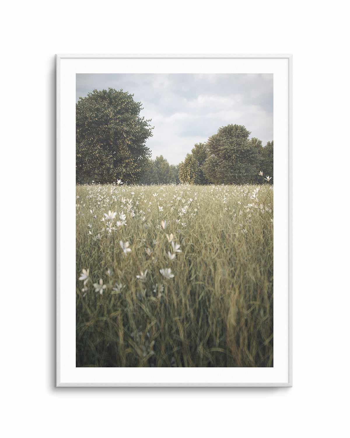 Daisy Fields by Guachinarte Art Print