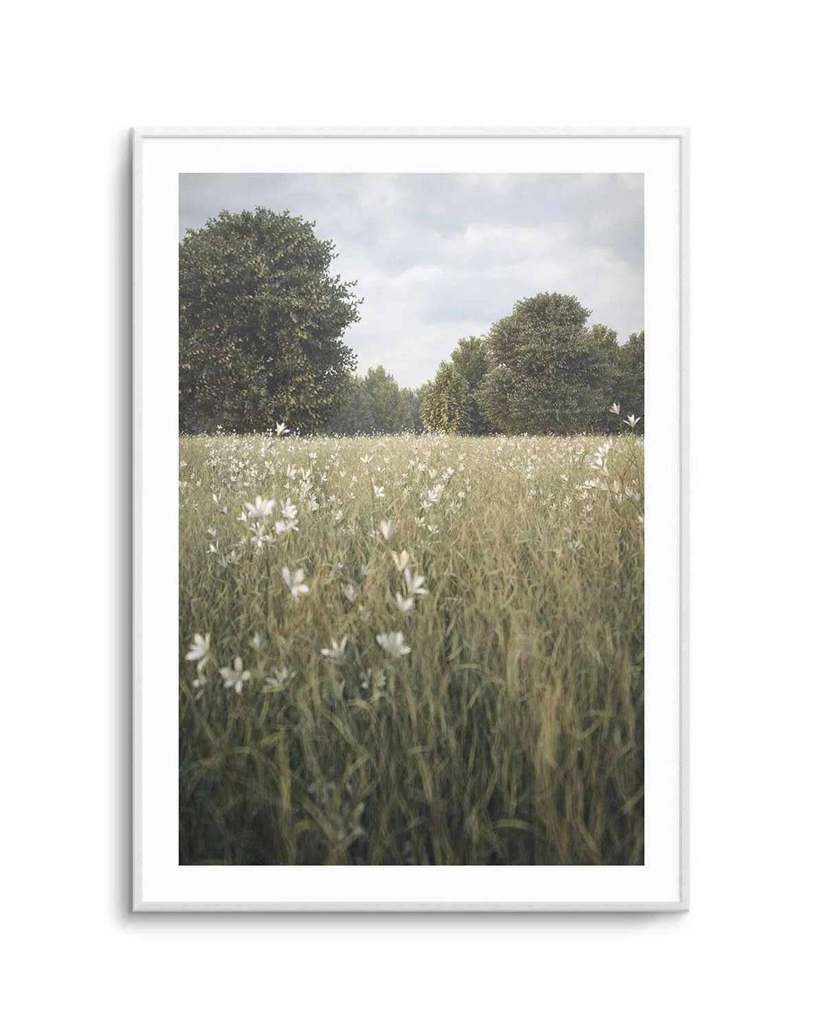 Daisy Fields by Guachinarte Art Print from Olive et Oriel where you can shop wallpaper and artworks online