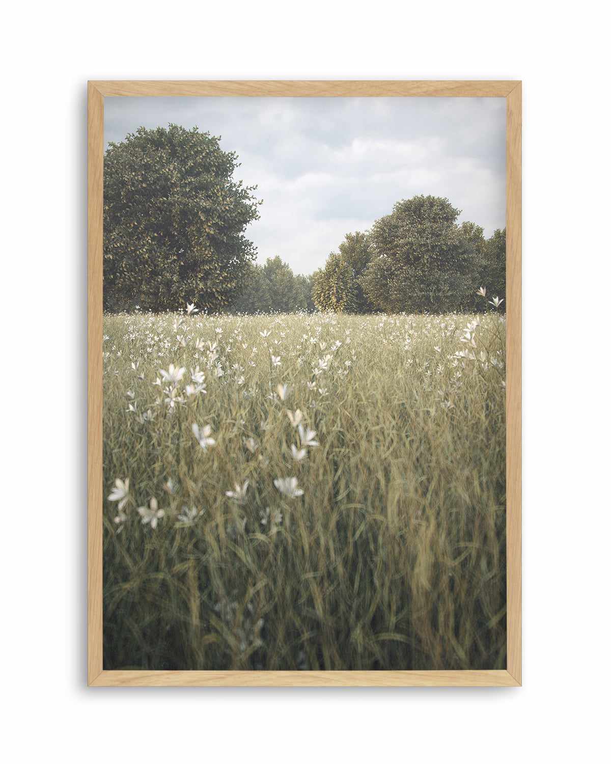 Daisy Fields by Guachinarte Art Print