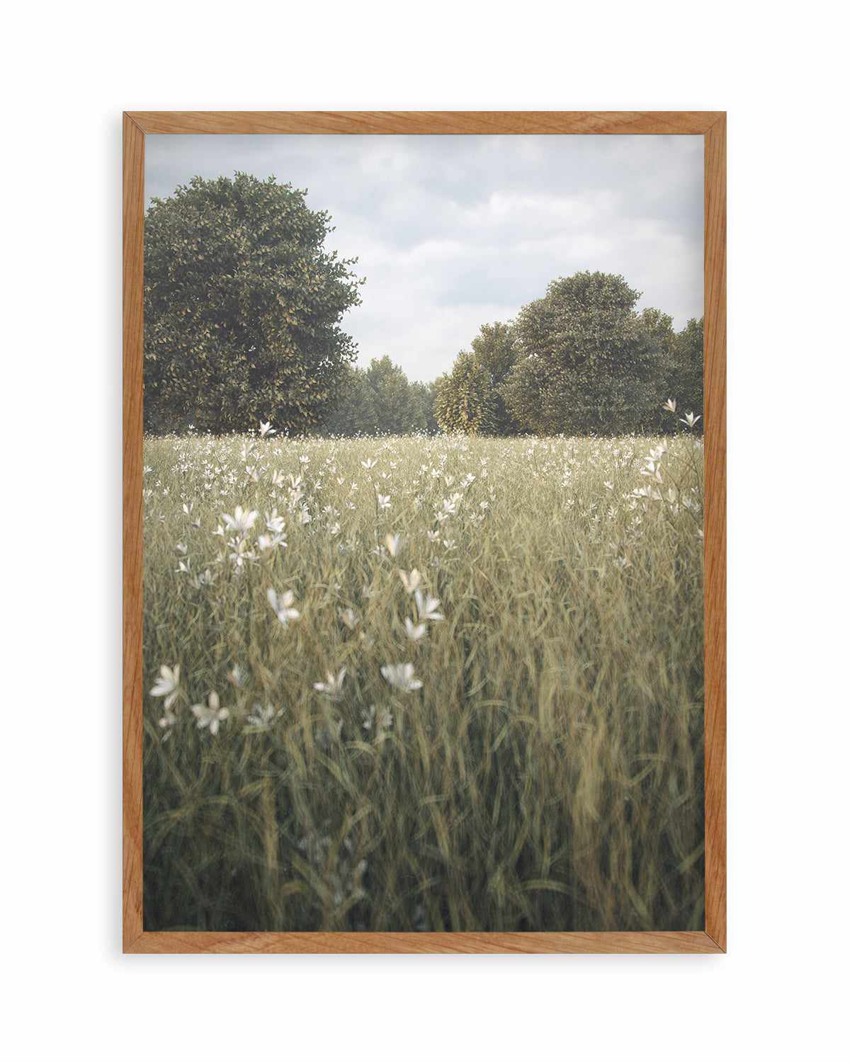 Daisy Fields by Guachinarte Art Print