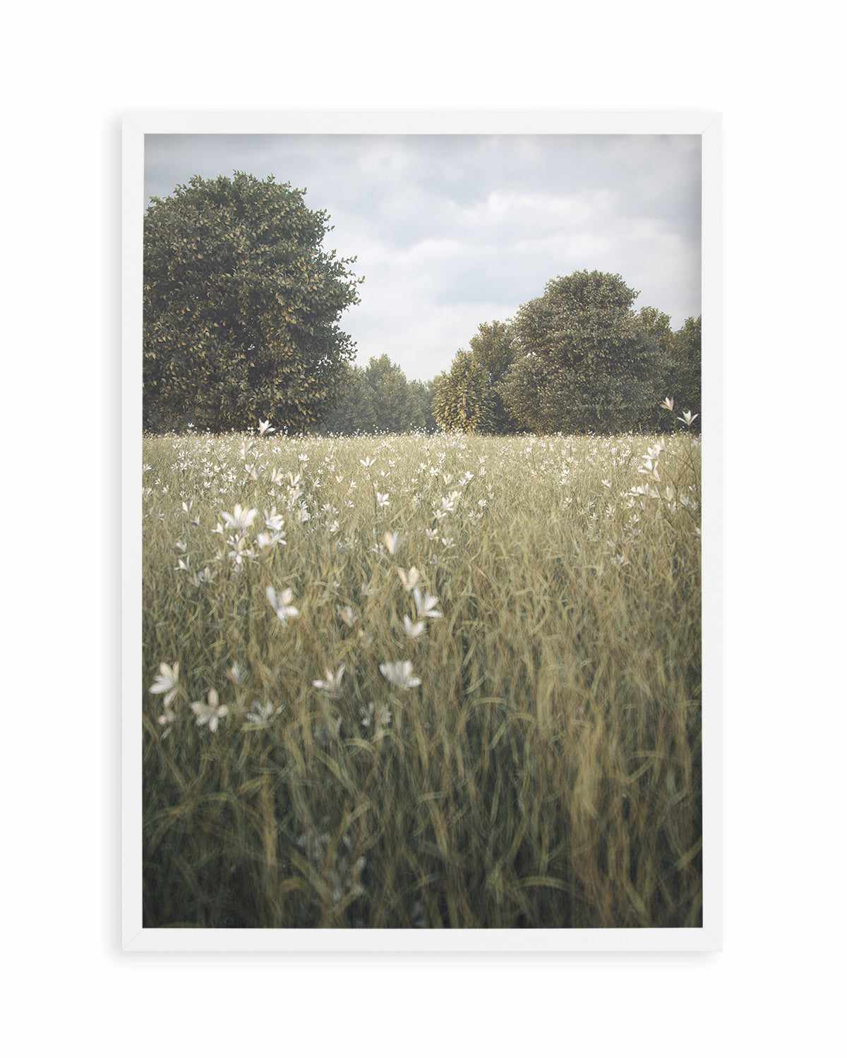 Daisy Fields by Guachinarte Art Print