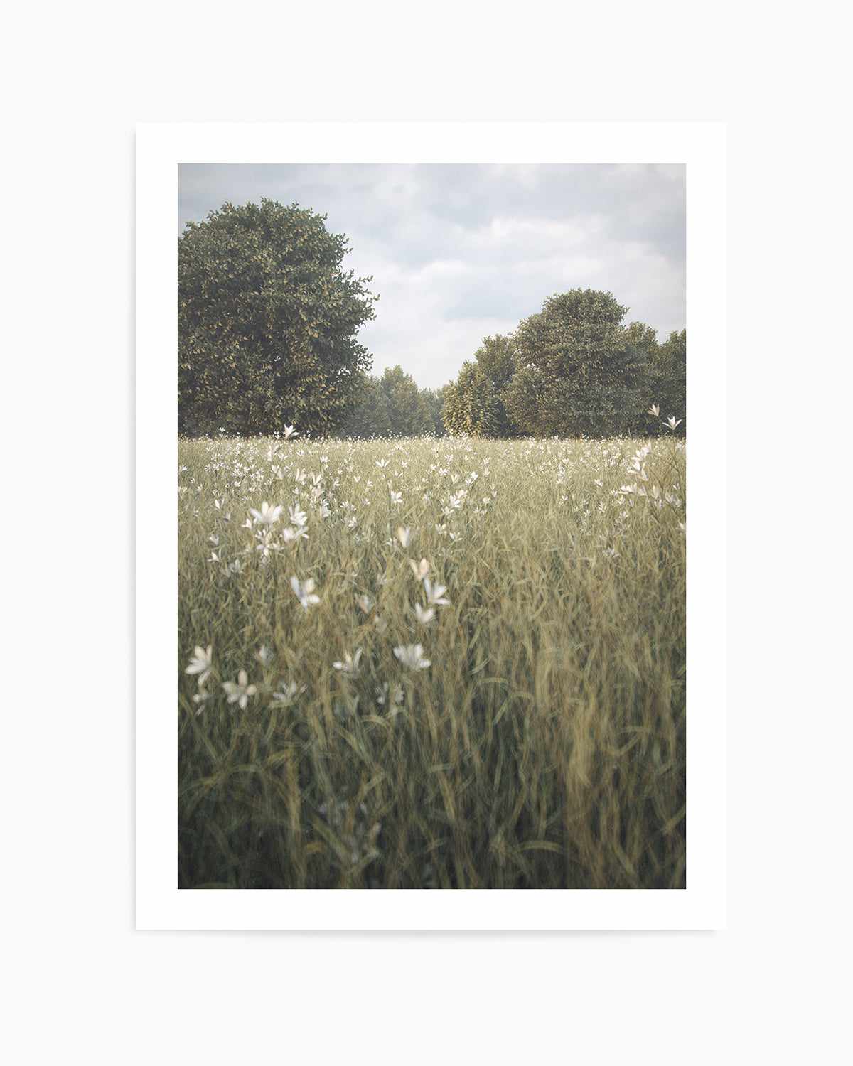 Daisy Fields by Guachinarte Art Print