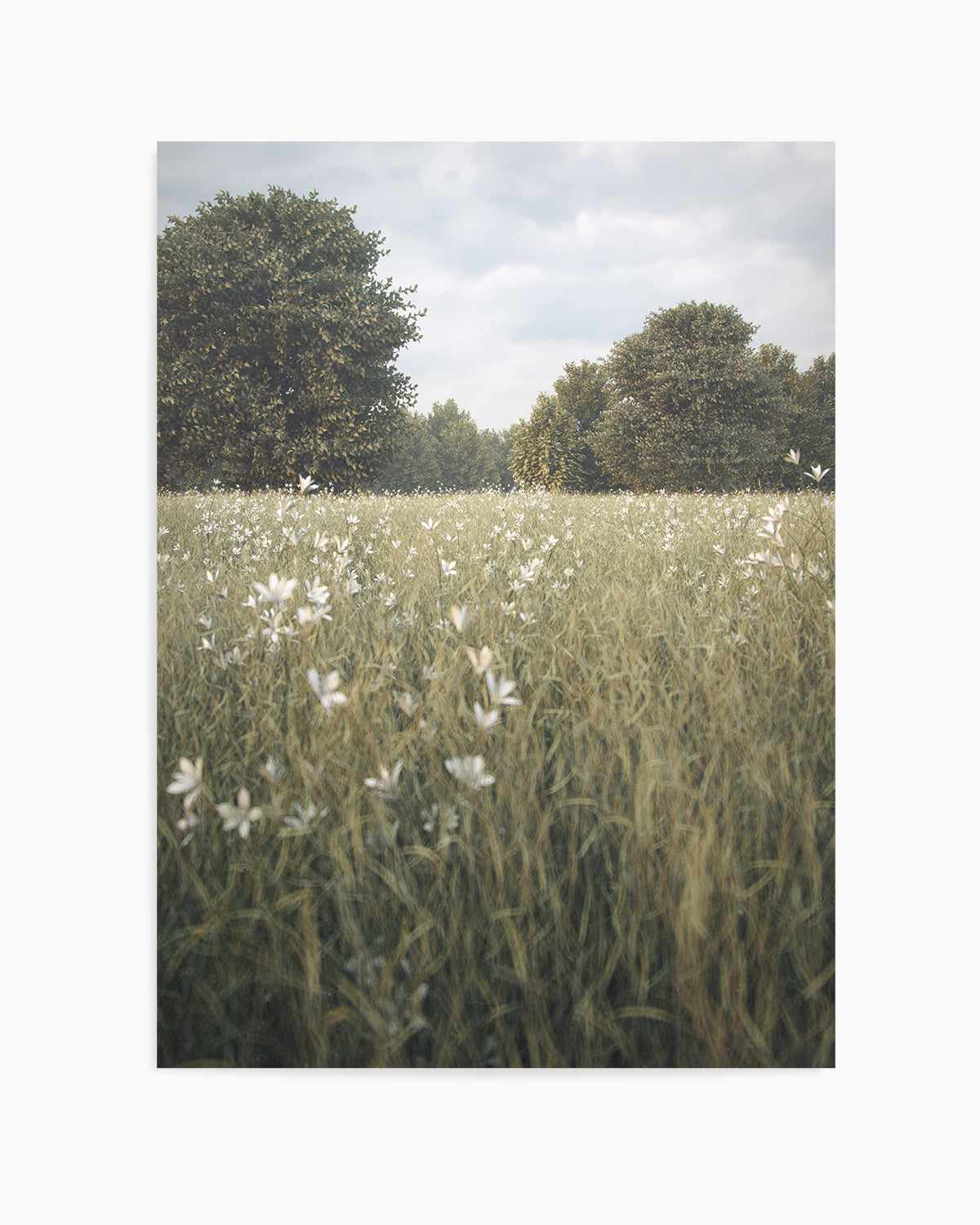 Daisy Fields by Guachinarte Art Print