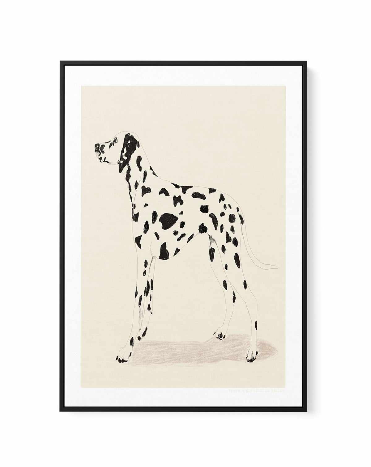 Dalmation by Jenny Liz Rome | Framed Canvas Art Print