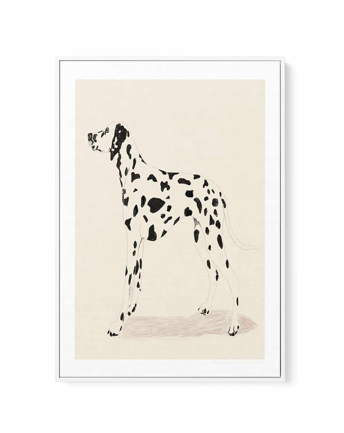 Dalmation by Jenny Liz Rome | Framed Canvas Art Print