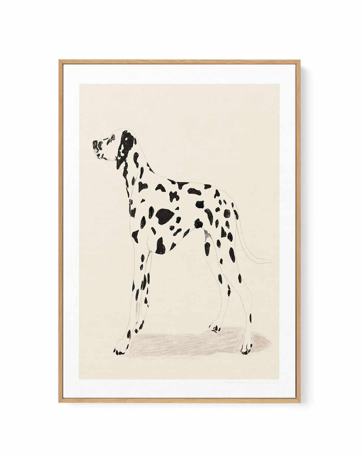 Dalmation by Jenny Liz Rome | Framed Canvas Art Print