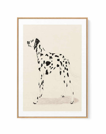 Dalmation by Jenny Liz Rome | Framed Canvas Art Print from Olive et Oriel where you can shop wallpaper and artworks online