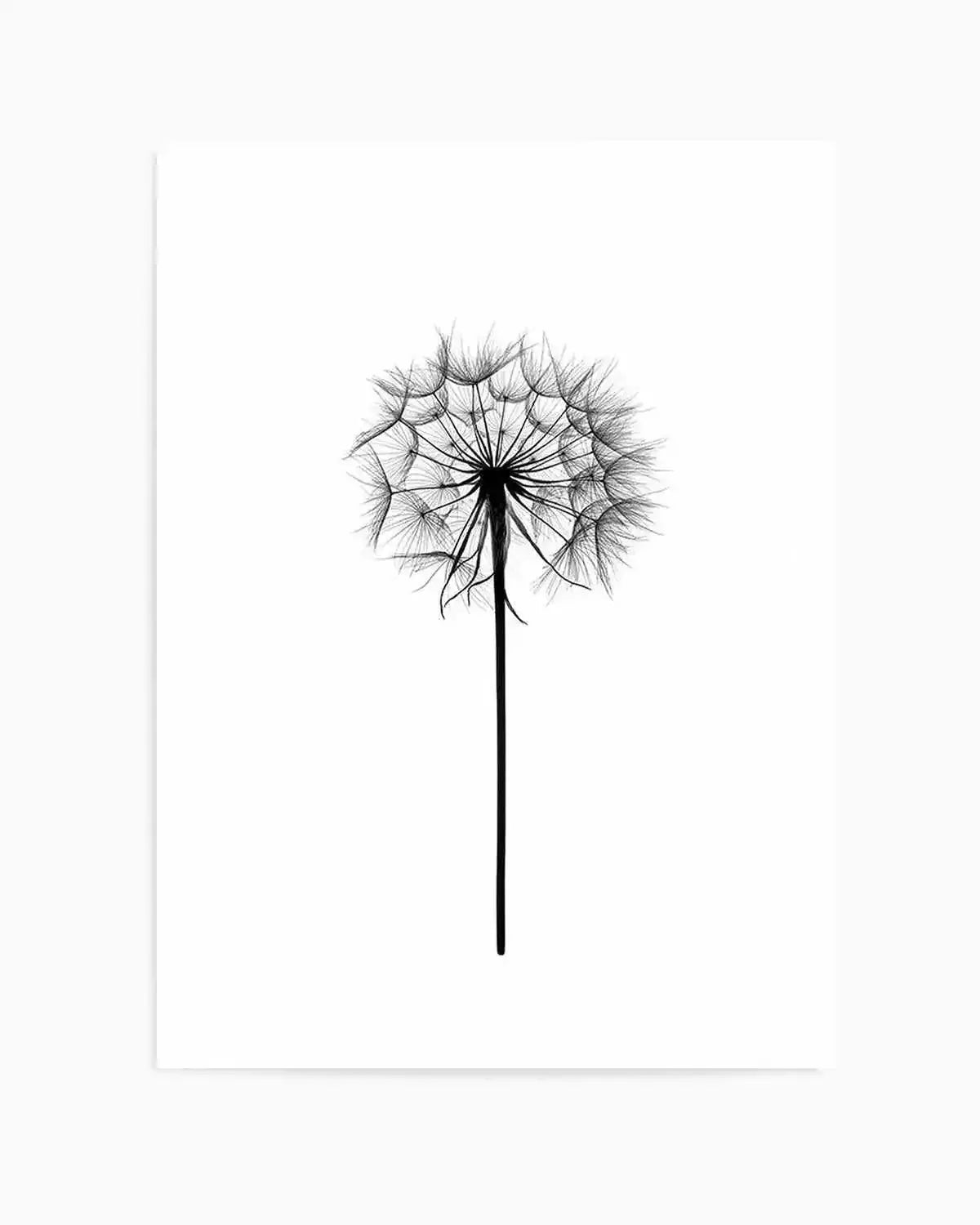 Dandelion Art Print from Olive et Oriel where you can shop wallpaper and artworks online