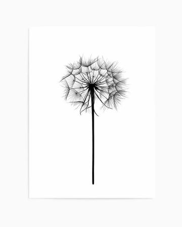 Black and white photographic art print featuring a detailed close-up of a dandelion seed head with delicate, feathery seeds radiating outwards from a central stem, set against a clean white background. The intricate structure of the seeds is captured with sharp focus, highlighting their fine texture and ethereal quality.