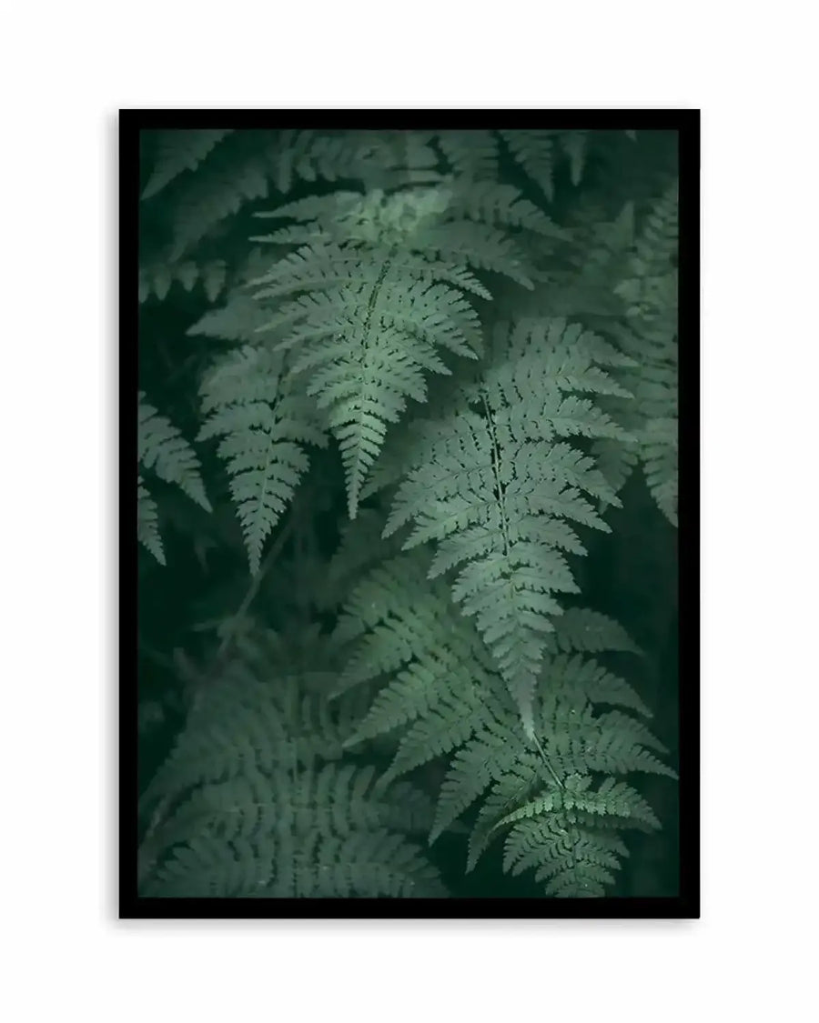 Dark Green Ferns Art Print from Olive et Oriel where you can shop wallpaper and artworks online