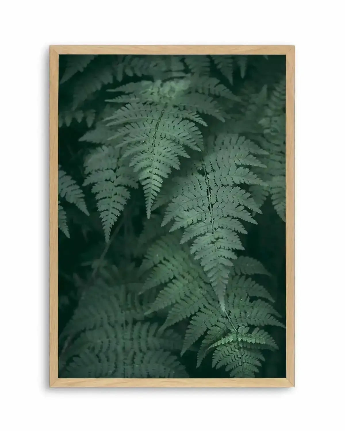 Dark Green Ferns Art Print from Olive et Oriel where you can shop wallpaper and artworks online