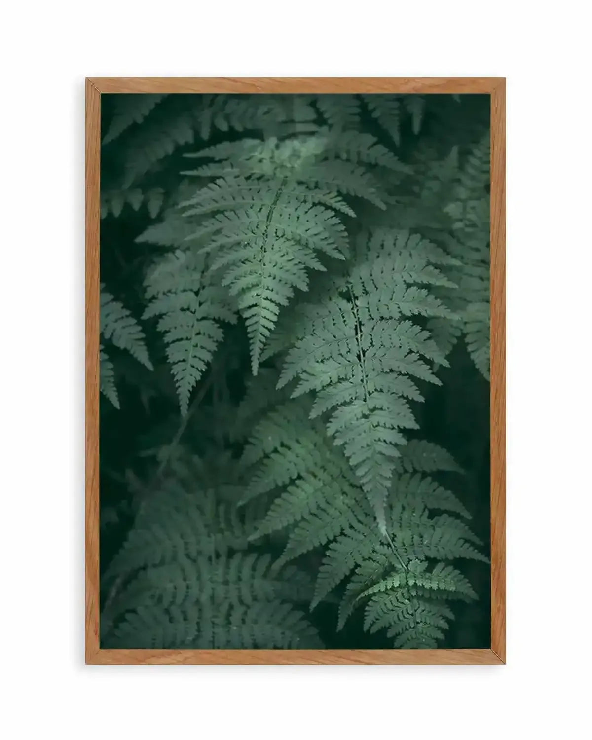 Dark Green Ferns Art Print from Olive et Oriel where you can shop wallpaper and artworks online