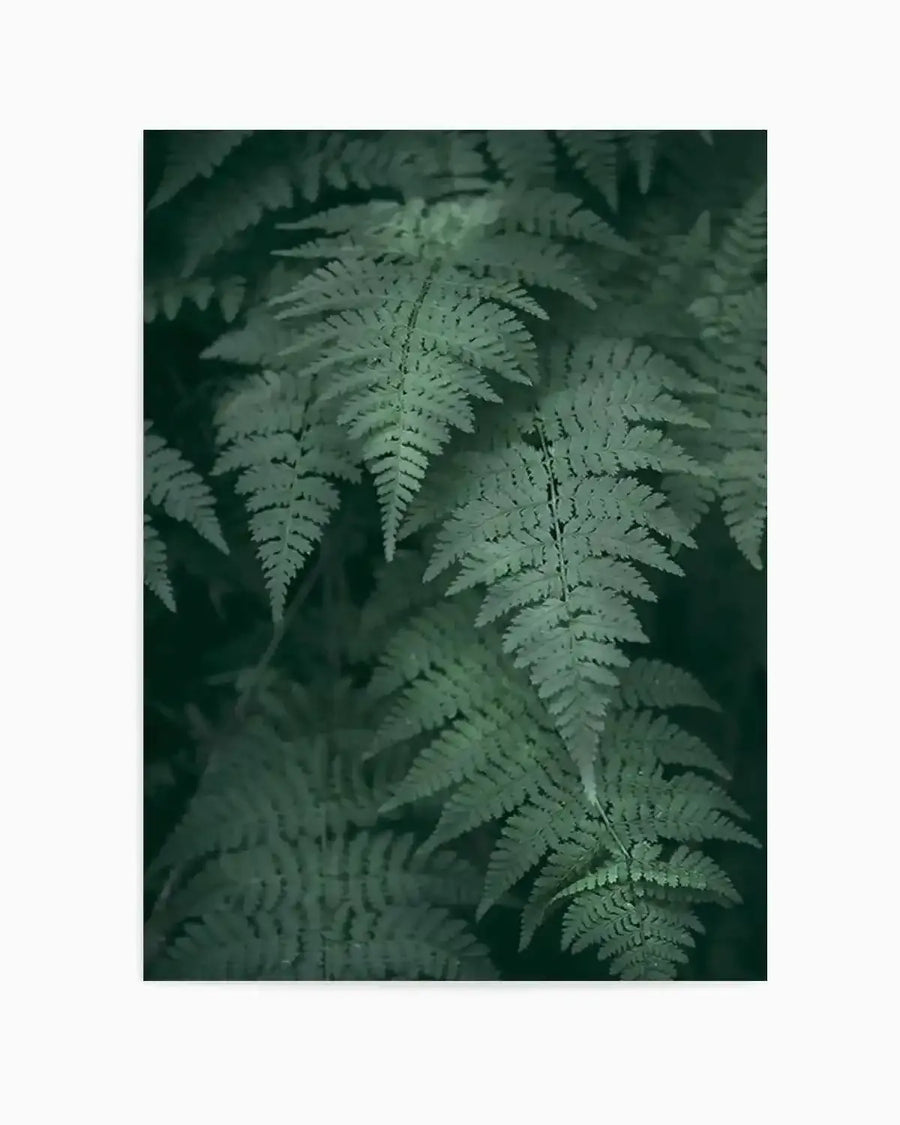 Dark green photography art print featuring a close-up of dense fern fronds with intricate leaf detail and varying shades of deep green, creating a lush, natural composition.