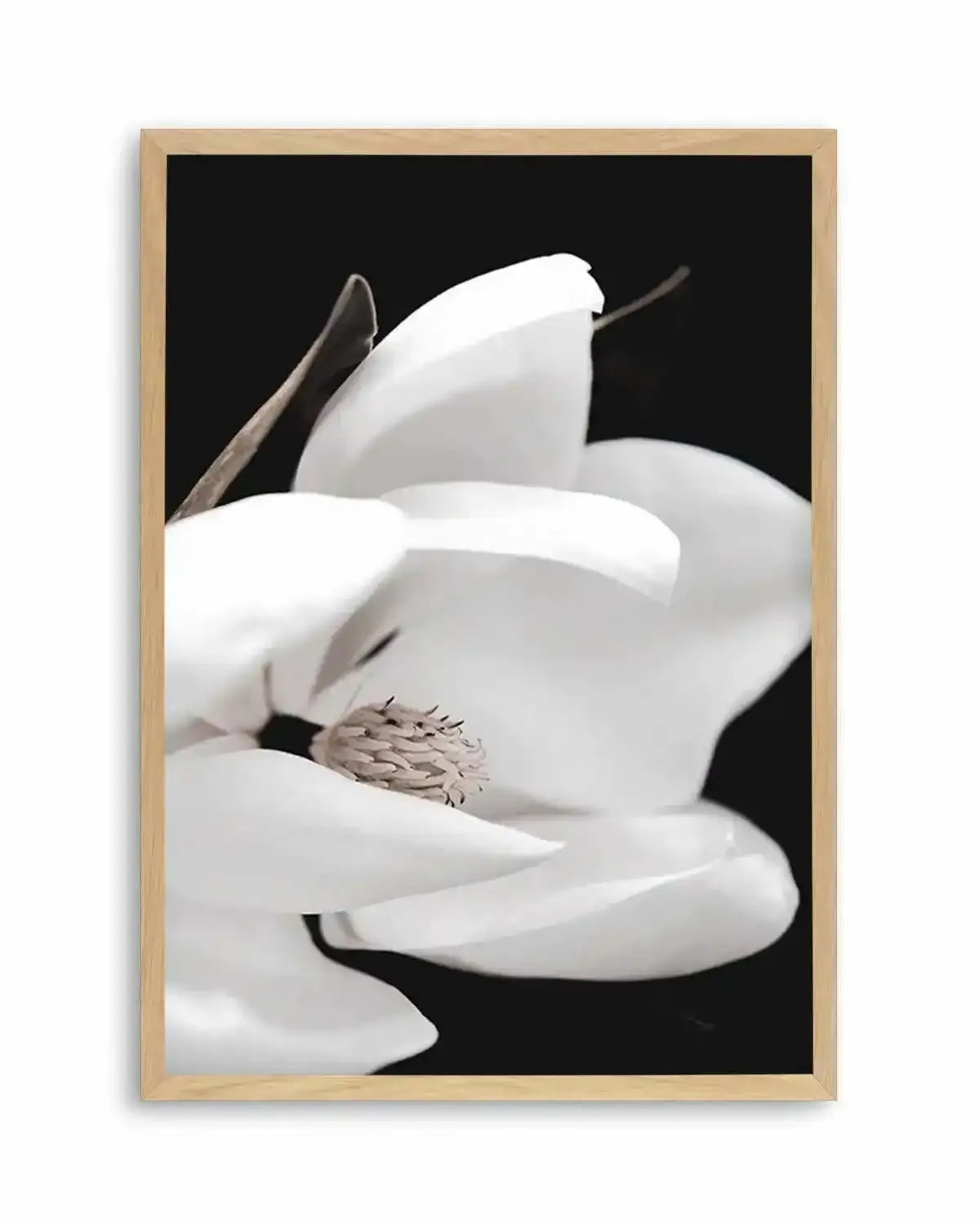 Dark Magnolia I | PT Art Print from Olive et Oriel where you can shop wallpaper and artworks online
