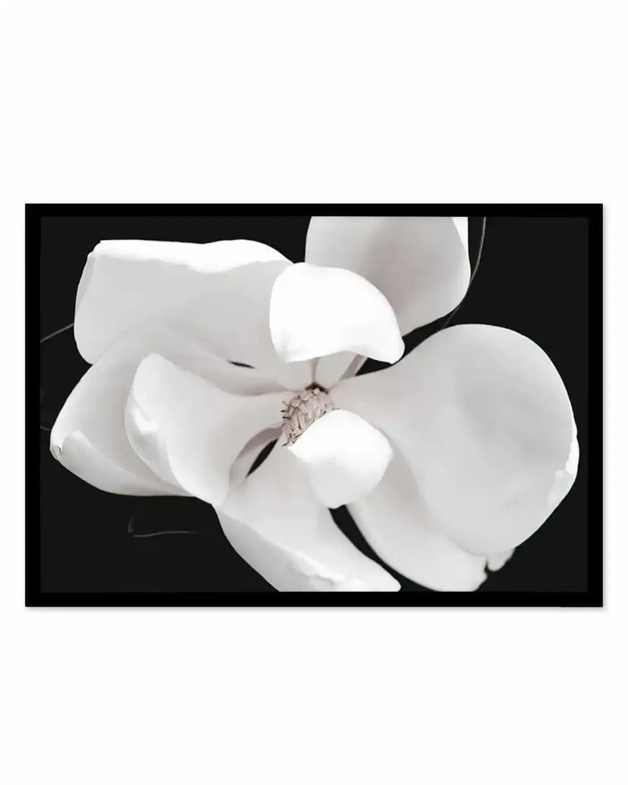 Dark Magnolia II  LS Art Print art print, framed
