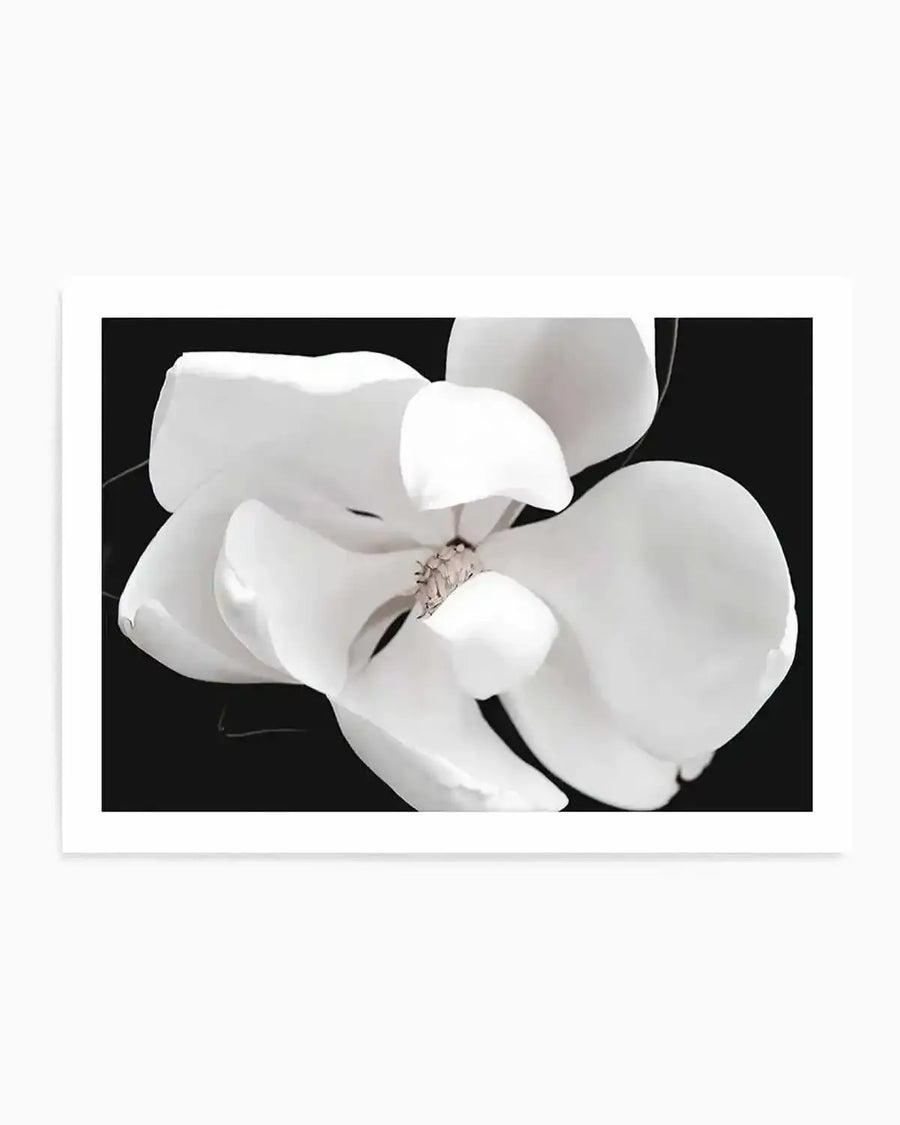 Dark Magnolia II  LS Art Print art print, framed