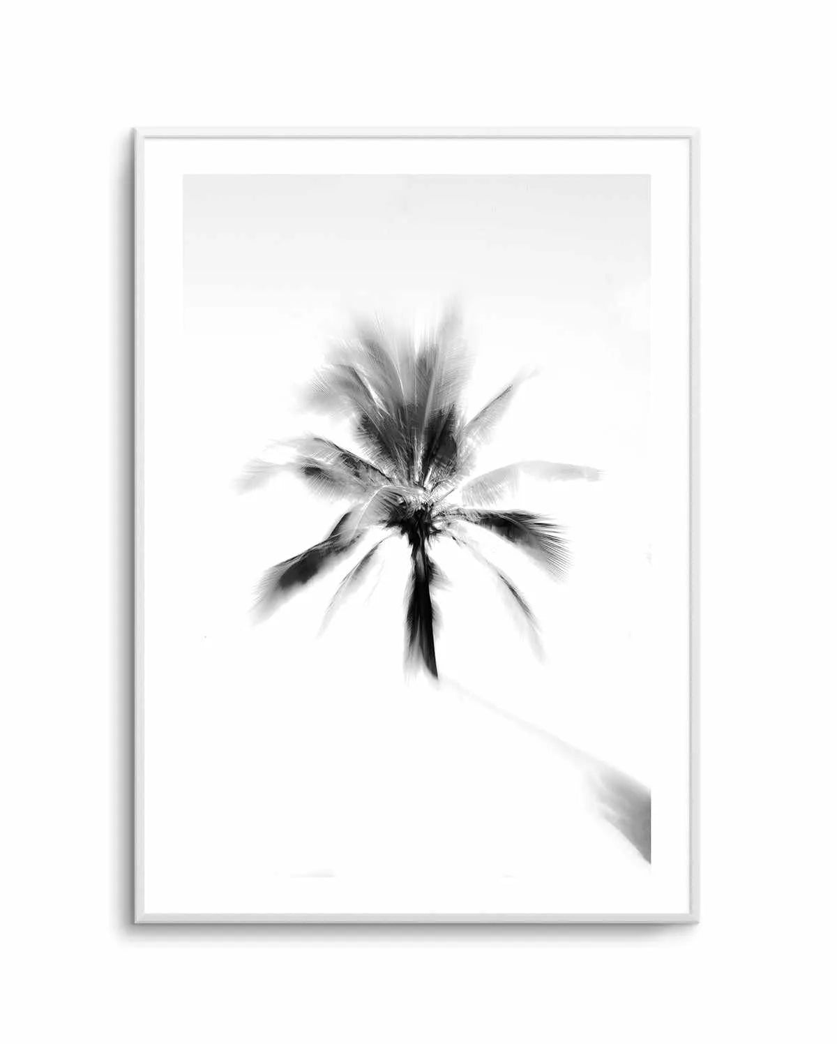 Day Dreamer by Mario Stefanelli Art Print-PRINT-Olive et Oriel-Mario Stefanelli-Buy-Australian-Art-Prints-Online-with-Olive-et-Oriel-Your-Artwork-Specialists-Austrailia-Decorate-With-Coastal-Photo-Wall-Art-Prints-From-Our-Beach-House-Artwork-Collection-Fine-Poster-and-Framed-Artwork