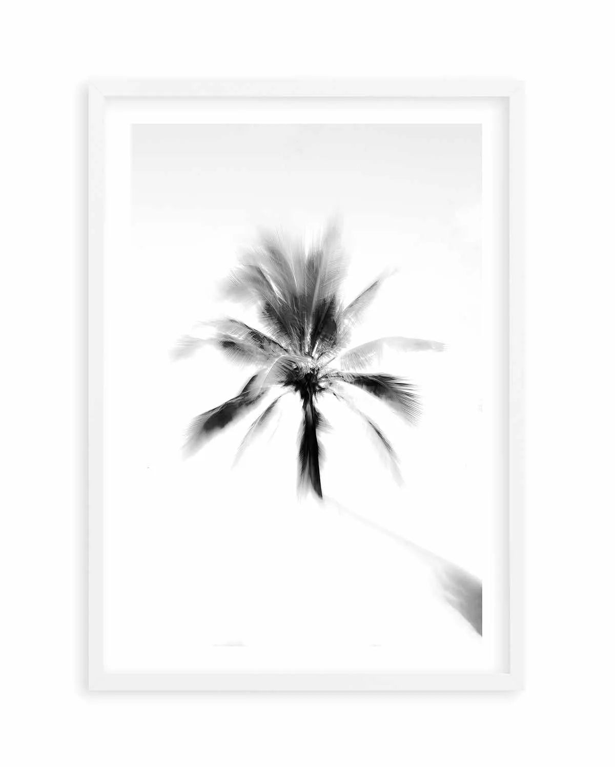 Day Dreamer by Mario Stefanelli Art Print-PRINT-Olive et Oriel-Mario Stefanelli-A5 | 5.8" x 8.3" | 14.8 x 21cm-White-With White Border-Buy-Australian-Art-Prints-Online-with-Olive-et-Oriel-Your-Artwork-Specialists-Austrailia-Decorate-With-Coastal-Photo-Wall-Art-Prints-From-Our-Beach-House-Artwork-Collection-Fine-Poster-and-Framed-Artwork