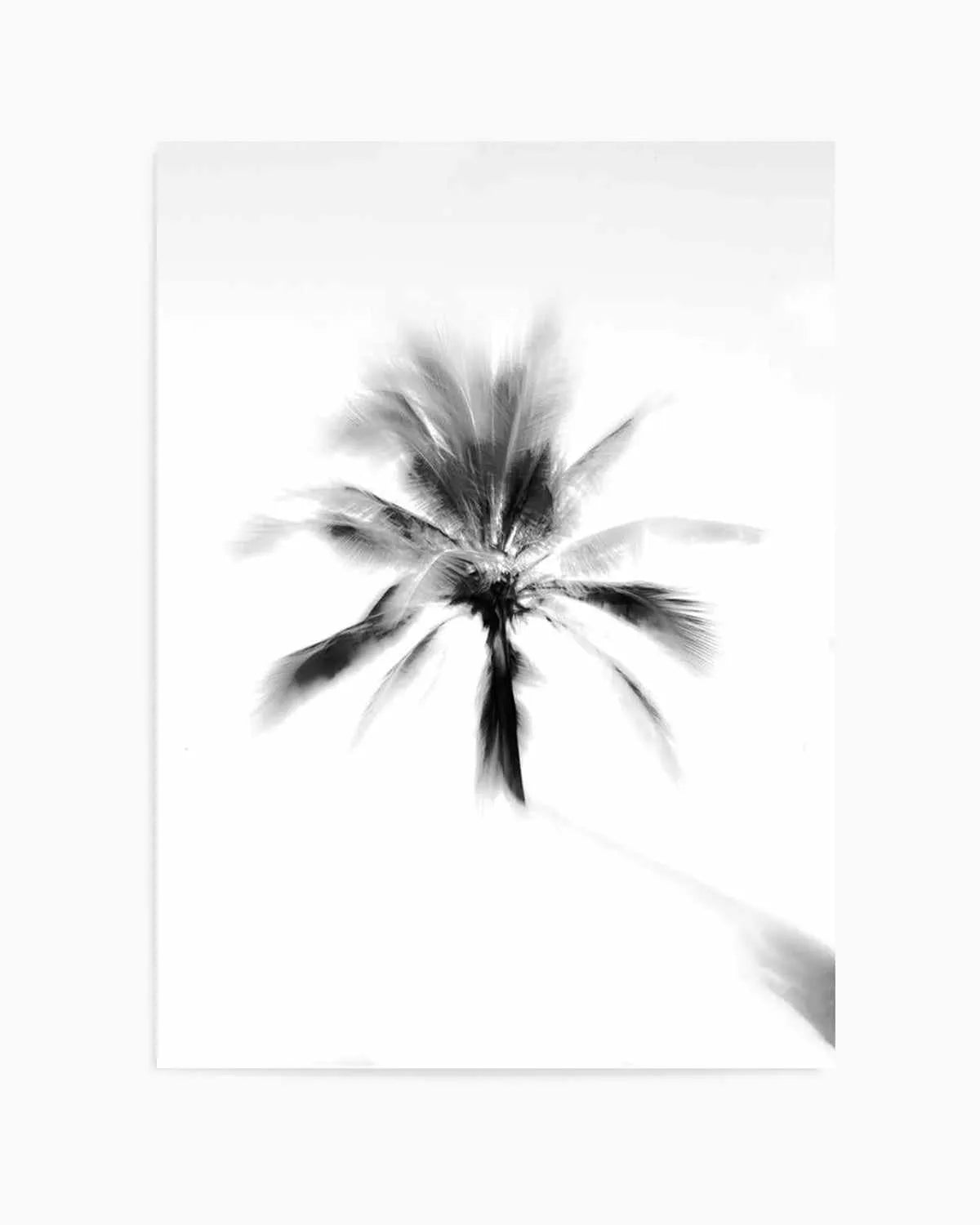 Day Dreamer by Mario Stefanelli Art Print from Olive et Oriel where you can shop wallpaper and artworks online