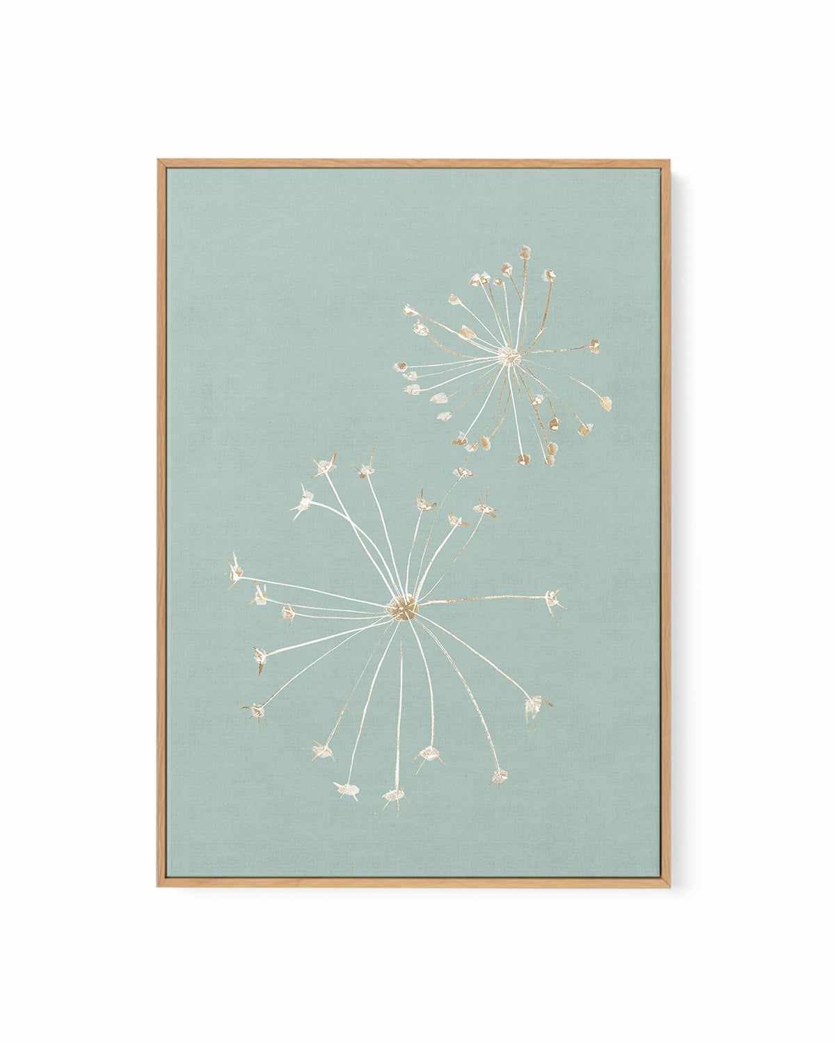 Daylight Dandelions | Framed Canvas Art Print