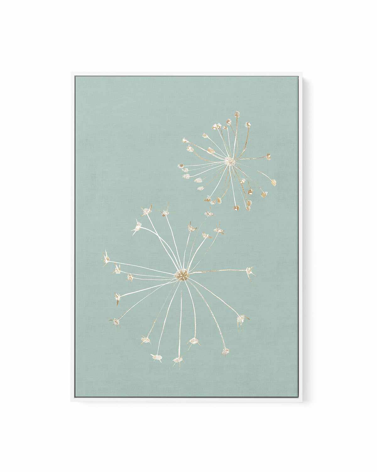 Daylight Dandelions | Framed Canvas Art Print