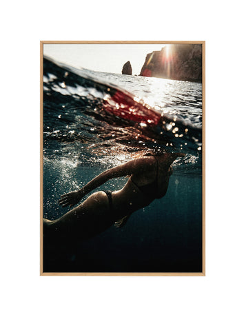 Deep End | Framed Canvas Wall Art
