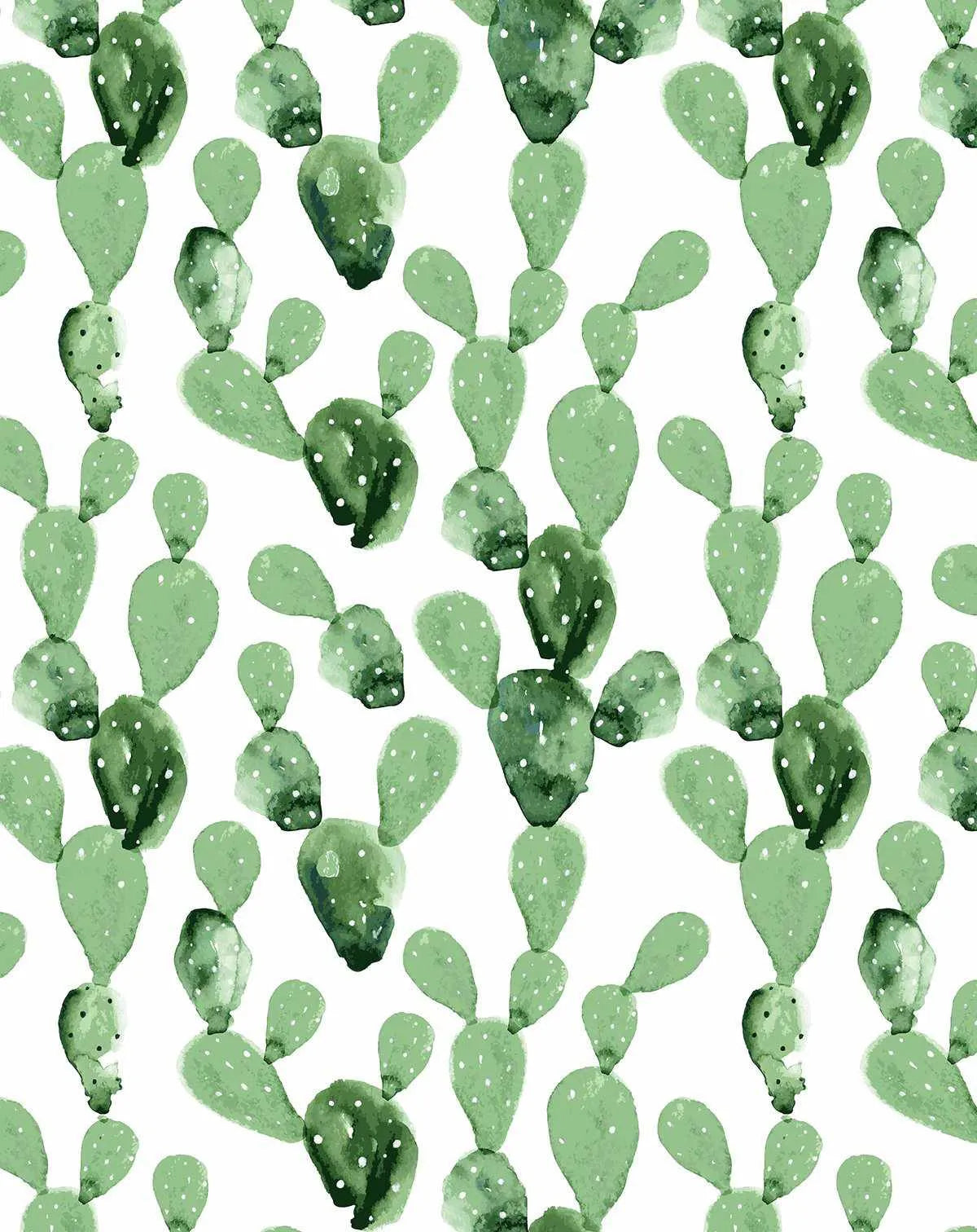 Desert Cactus Wallpaper-Wallpaper-Buy Kids Removable Wallpaper Online Our Custom Made Children√¢‚Ç¨‚Ñ¢s Wallpapers Are A Fun Way To Decorate And Enhance Boys Bedroom Decor And Girls Bedrooms They Are An Amazing Addition To Your Kids Bedroom Walls Our Collection of Kids Wallpaper Is Sure To Transform Your Kids Rooms Interior Style From Pink Wallpaper To Dinosaur Wallpaper Even Marble Wallpapers For Teen Boys Shop Peel And Stick Wallpaper Online Today With Olive et Oriel