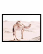 Desert Camels I Art Print
