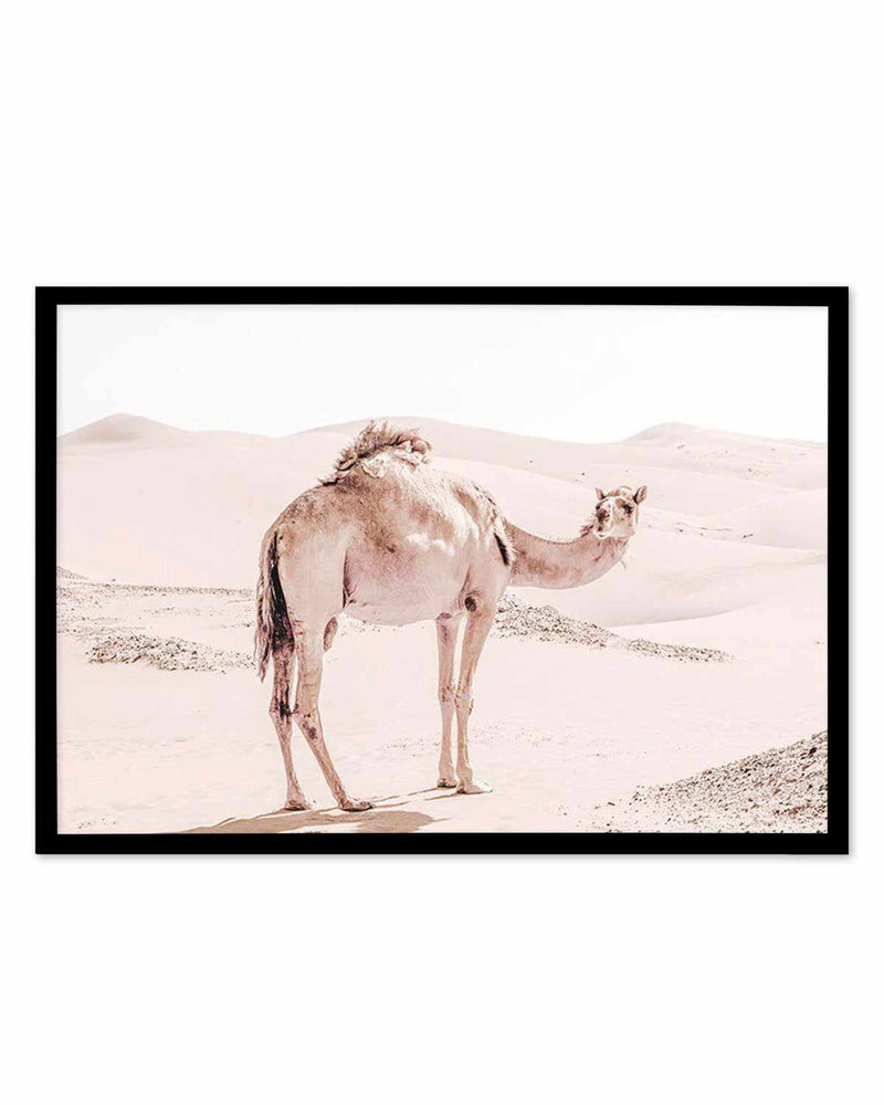 Desert Camels I Art Print