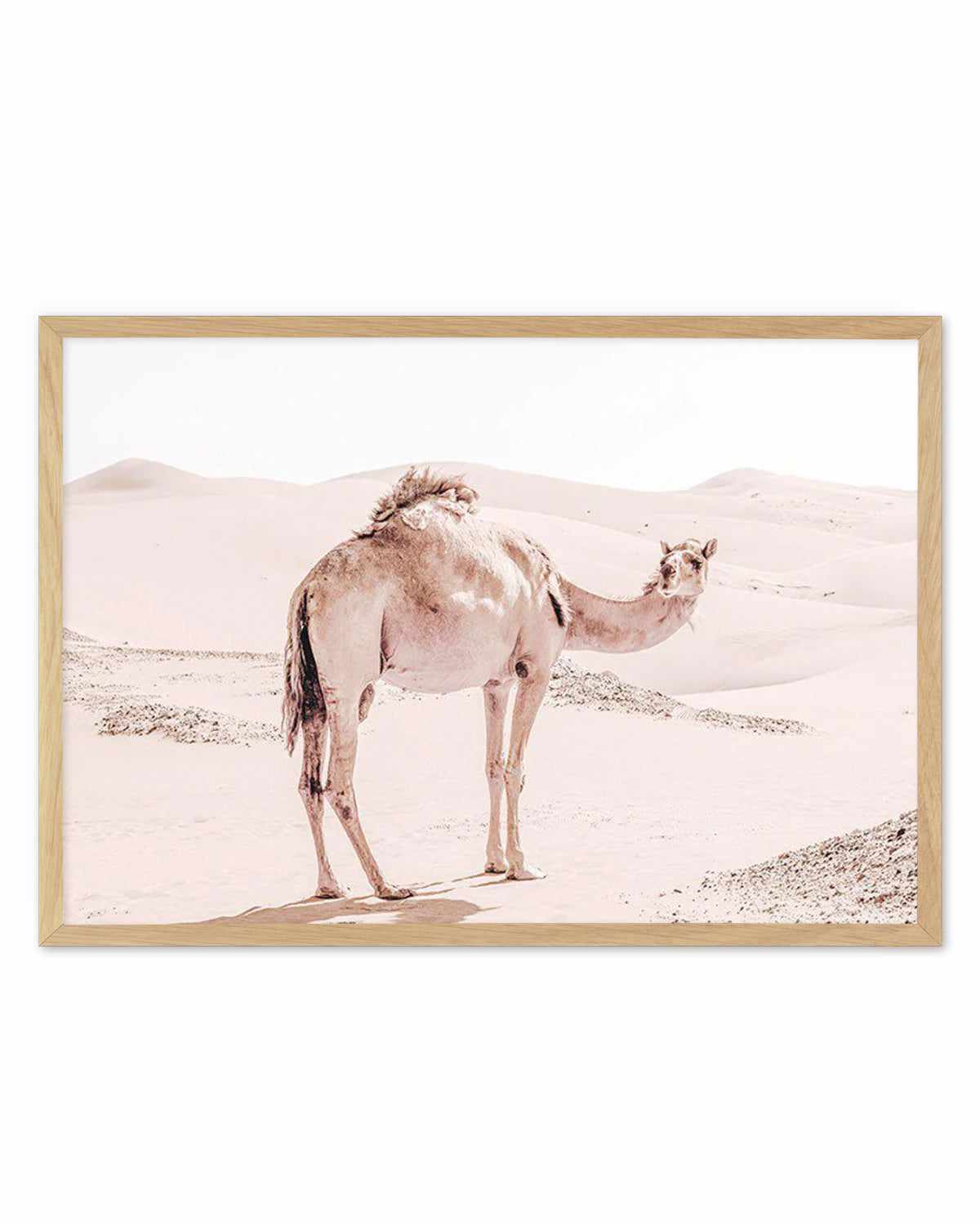 Desert Camels I Art Print