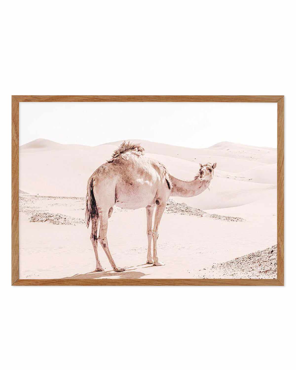 Desert Camels I Art Print