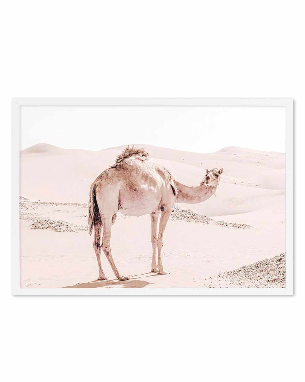 Desert Camels I Art Print