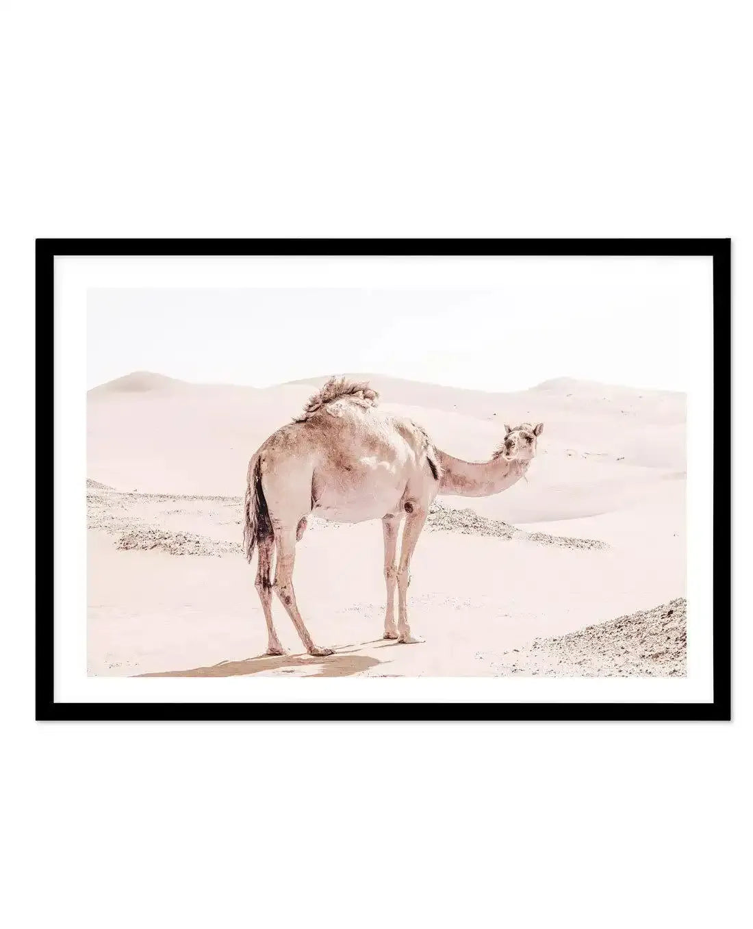 Desert Camels I Art Print-Shop Australian Art Prints Online with Olive et Oriel - Our collection of Moroccan art prints offer unique wall art including moroccan arches and pink morocco doors of marrakech - this collection will add soft feminine colour to your walls and some may say bohemian style. These traditional morocco landscape photography includes desert scenes of palm trees and camel art prints - there is art on canvas and extra large wall art with fast, free shipping across Australia. Up
