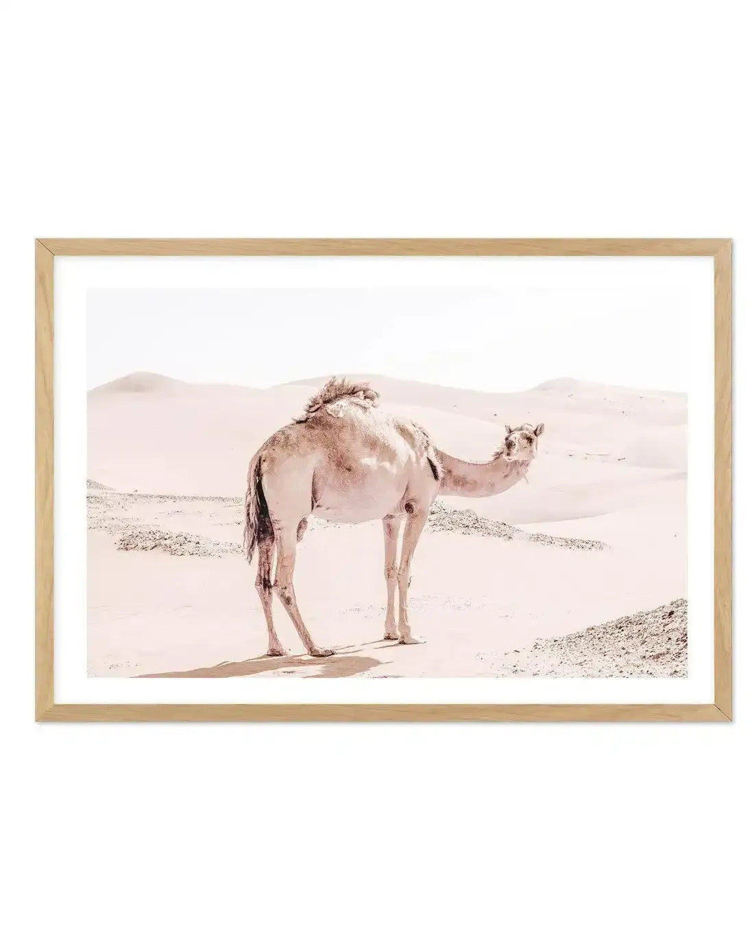 Desert Camels I Art Print-Shop Australian Art Prints Online with Olive et Oriel - Our collection of Moroccan art prints offer unique wall art including moroccan arches and pink morocco doors of marrakech - this collection will add soft feminine colour to your walls and some may say bohemian style. These traditional morocco landscape photography includes desert scenes of palm trees and camel art prints - there is art on canvas and extra large wall art with fast, free shipping across Australia. Up