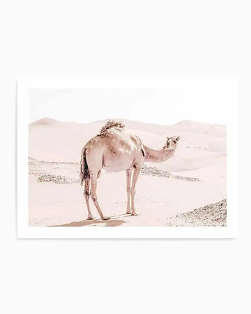 Photography art print featuring a light-coloured camel standing in a vast desert landscape with soft pink sand dunes under a bright white sky. The camel is facing slightly right, looking towards the viewer, with its shadow cast on the sand.