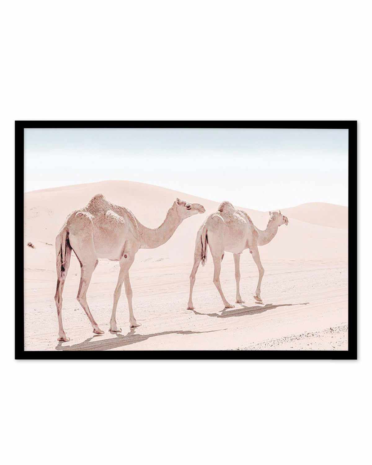 Desert Camels II Art Print