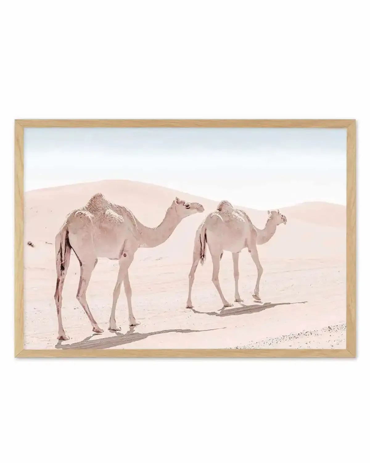 Desert Camels II Art Print from Olive et Oriel where you can shop wallpaper and artworks online