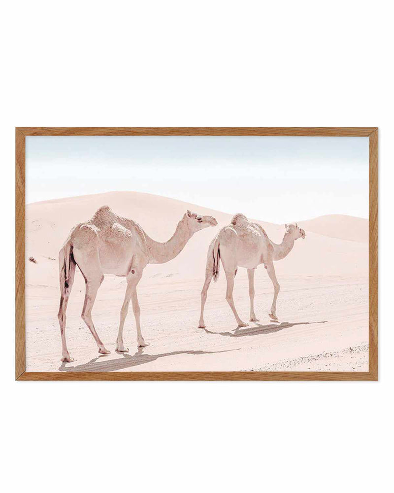 Desert Camels II Art Print