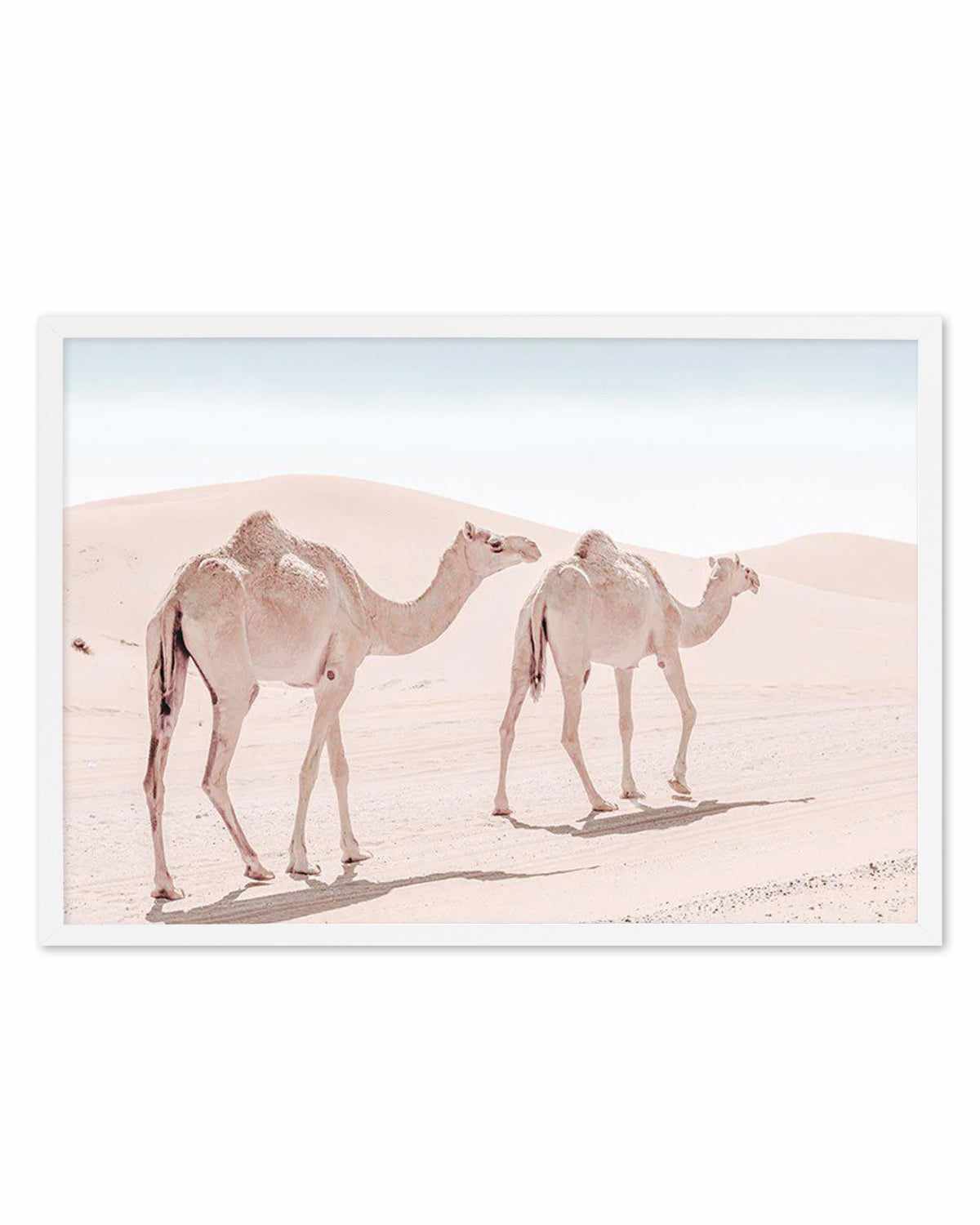 Desert Camels II Art Print