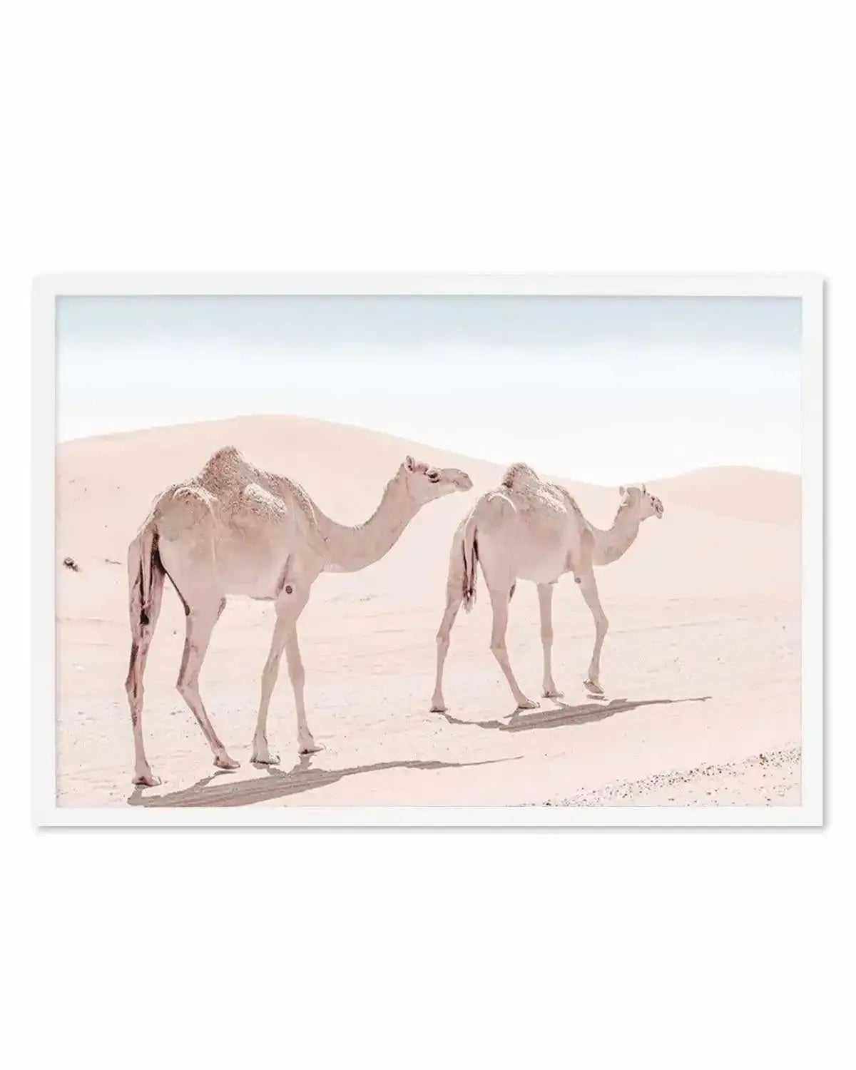 Desert Camels II Art Print from Olive et Oriel where you can shop wallpaper and artworks online