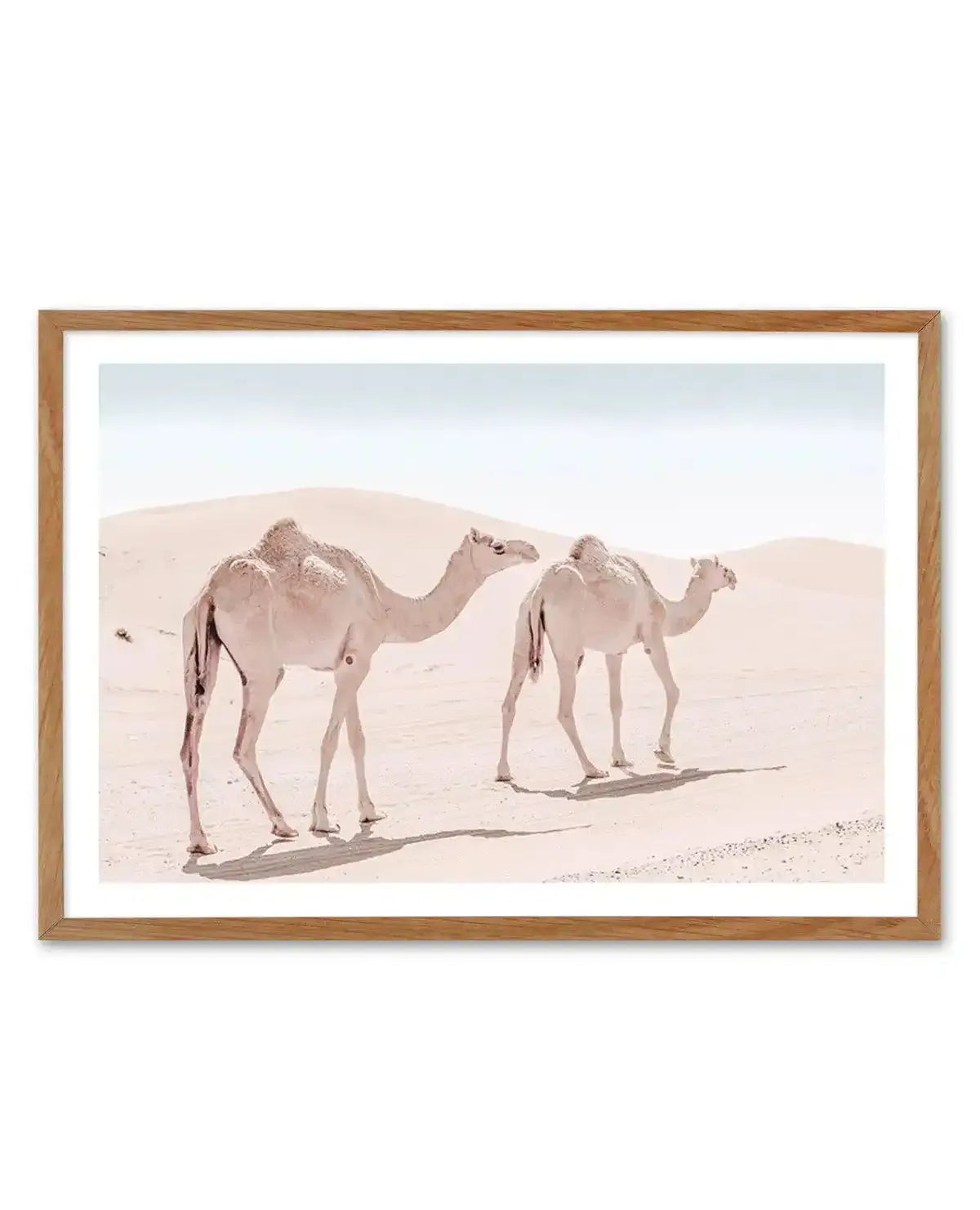 Desert Camels II Art Print-Shop Australian Art Prints Online with Olive et Oriel - Our collection of Moroccan art prints offer unique wall art including moroccan arches and pink morocco doors of marrakech - this collection will add soft feminine colour to your walls and some may say bohemian style. These traditional morocco landscape photography includes desert scenes of palm trees and camel art prints - there is art on canvas and extra large wall art with fast, free shipping across Australia. U