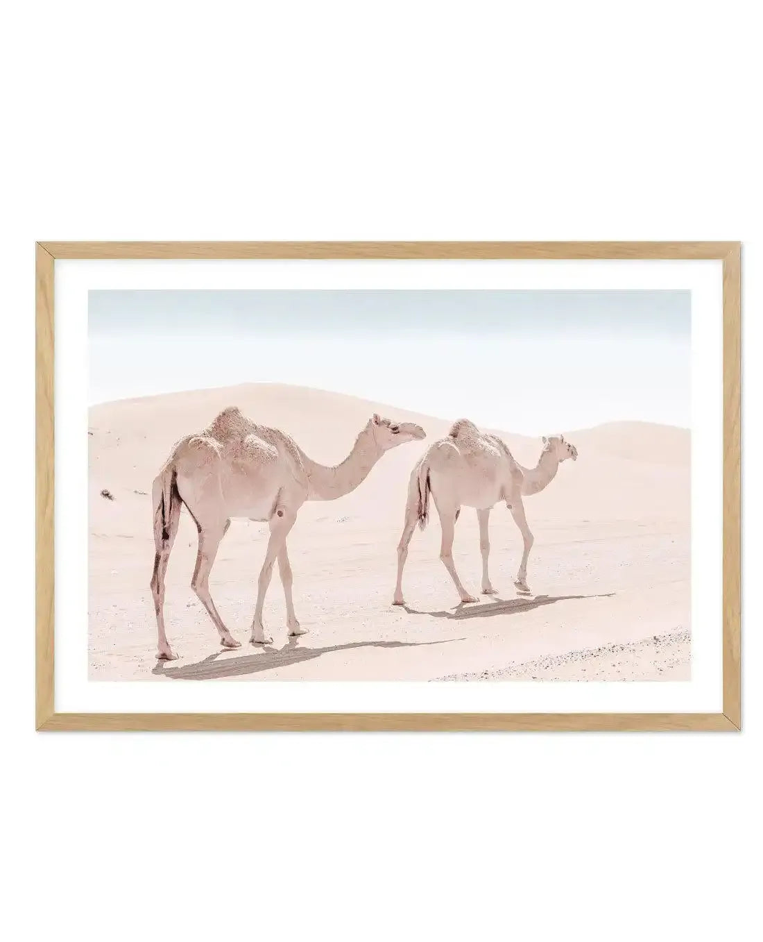 Desert Camels II Art Print-Shop Australian Art Prints Online with Olive et Oriel - Our collection of Moroccan art prints offer unique wall art including moroccan arches and pink morocco doors of marrakech - this collection will add soft feminine colour to your walls and some may say bohemian style. These traditional morocco landscape photography includes desert scenes of palm trees and camel art prints - there is art on canvas and extra large wall art with fast, free shipping across Australia. U