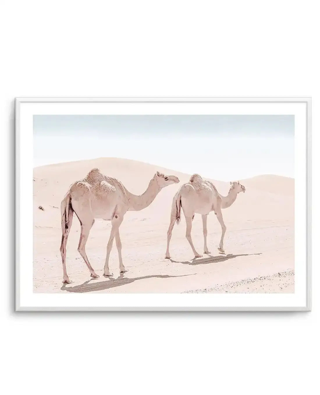 Desert Camels II Art Print-Shop Australian Art Prints Online with Olive et Oriel - Our collection of Moroccan art prints offer unique wall art including moroccan arches and pink morocco doors of marrakech - this collection will add soft feminine colour to your walls and some may say bohemian style. These traditional morocco landscape photography includes desert scenes of palm trees and camel art prints - there is art on canvas and extra large wall art with fast, free shipping across Australia. U